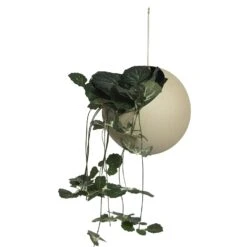 AYTM Globe Hängetopf Ø21x32 Cm, Taupe -Möbel Verkauf aytm globe hanging flowerpot 21x32 cm 7