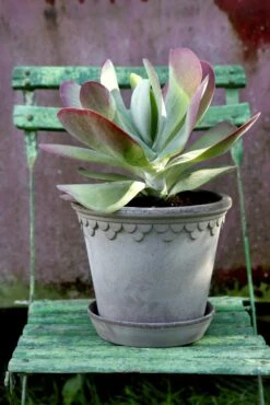 Bergs Potter Copenhagen Topf Grau, 30 Cm 8 Bergs Potter Copenhagen Topf Grau, 30 Cm -Möbel Verkauf bergs potter copenhagen topf grau 3 1