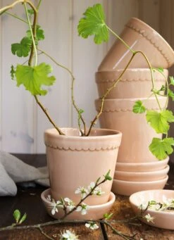 Bergs Potter Helena Topf Quartz Rose, 18 Cm 13 Bergs Potter Helena Topf Quartz Rose, 18 Cm -Möbel Verkauf bergs potter helena topf quartz rose 11