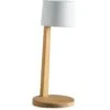 Gaia Tischlampe Tragbar Teakholz, Rubelli Bianco -Möbel Verkauf ethimo gaia table lamp teak 1