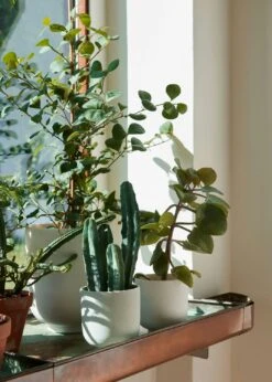 &Tradition Collect SC72 Übertopf Ø20x24 Cm, Milk -Möbel Verkauf tradition collect sc72 ubertopf 20x24 cm 2