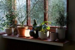 &Tradition Collect SC69 Übertopf SC69 Ø12x13 Cm, Milk -Möbel Verkauf tradition collect ubertopf sc69 dia12 x h13 cm 1