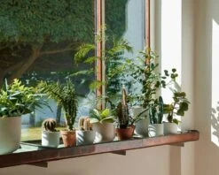 &Tradition Collect SC69 Übertopf SC69 Ø12x13 Cm, Milk -Möbel Verkauf tradition collect ubertopf sc69 dia12 x h13 cm 17