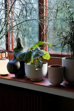 &Tradition Collect SC69 Übertopf SC69 Ø12x13 Cm, Milk -Möbel Verkauf tradition collect ubertopf sc69 dia12 x h13 cm 2